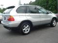 2003 Titanium Silver Metallic BMW X5 3.0i  photo #5