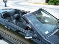 Black - CLK 350 Cabriolet Photo No. 12