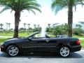 Black - CLK 350 Cabriolet Photo No. 13