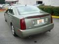 Silver Green - STS V8 Photo No. 2