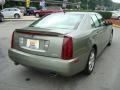Silver Green - STS V8 Photo No. 4