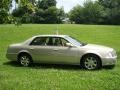 Gold Mist - DTS Sedan Photo No. 10
