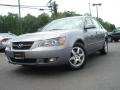 Steel Gray - Sonata LX V6 Photo No. 1
