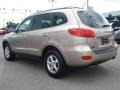 2007 Golden Beige Hyundai Santa Fe GLS  photo #3