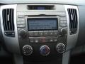 2009 Willow Gray Hyundai Sonata GLS  photo #27