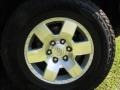 Titanium Metallic - FJ Cruiser 4WD Photo No. 18