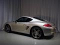 Arctic Silver Metallic - Cayman S Photo No. 6