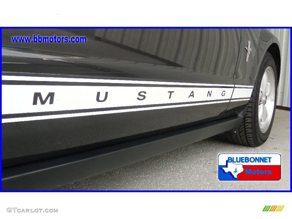 2007 Mustang V6 Premium Coupe - Alloy Metallic / Light Graphite photo #13