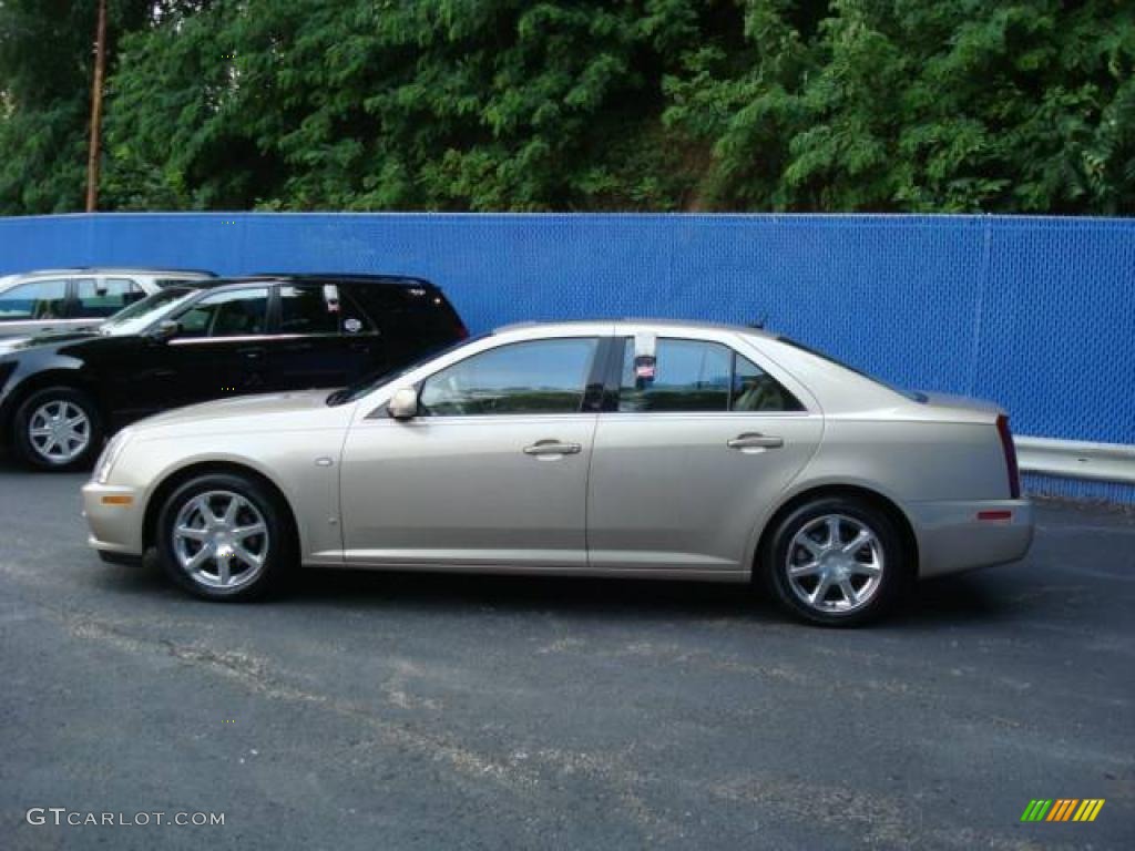 2006 STS V6 - Sand Storm / Cashmere photo #2