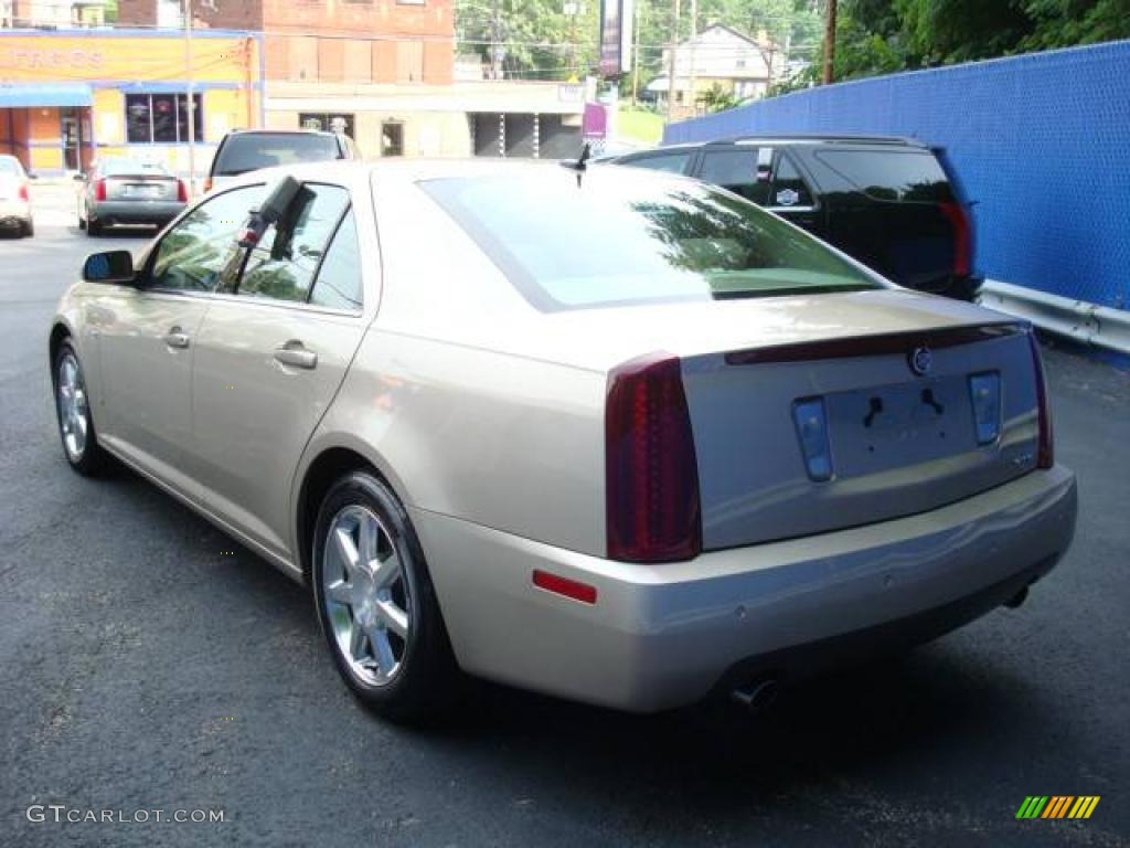 2006 STS V6 - Sand Storm / Cashmere photo #3