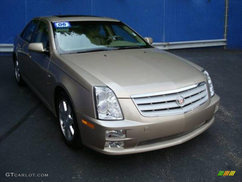 2006 STS V6 - Sand Storm / Cashmere photo #6