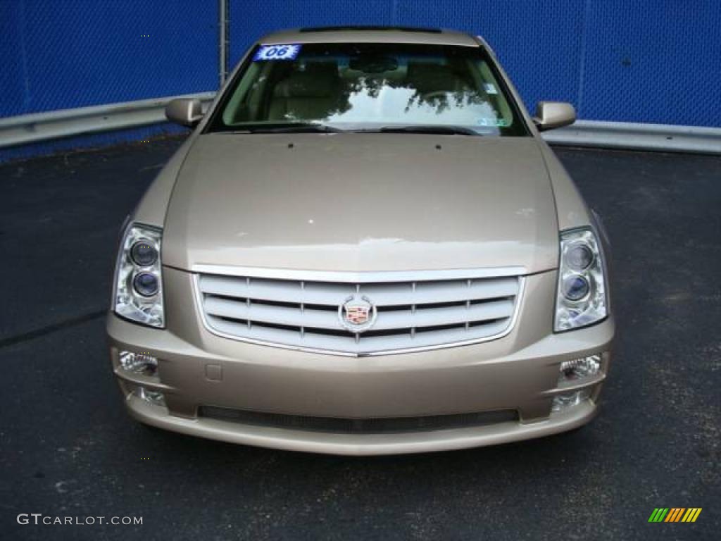 2006 STS V6 - Sand Storm / Cashmere photo #7