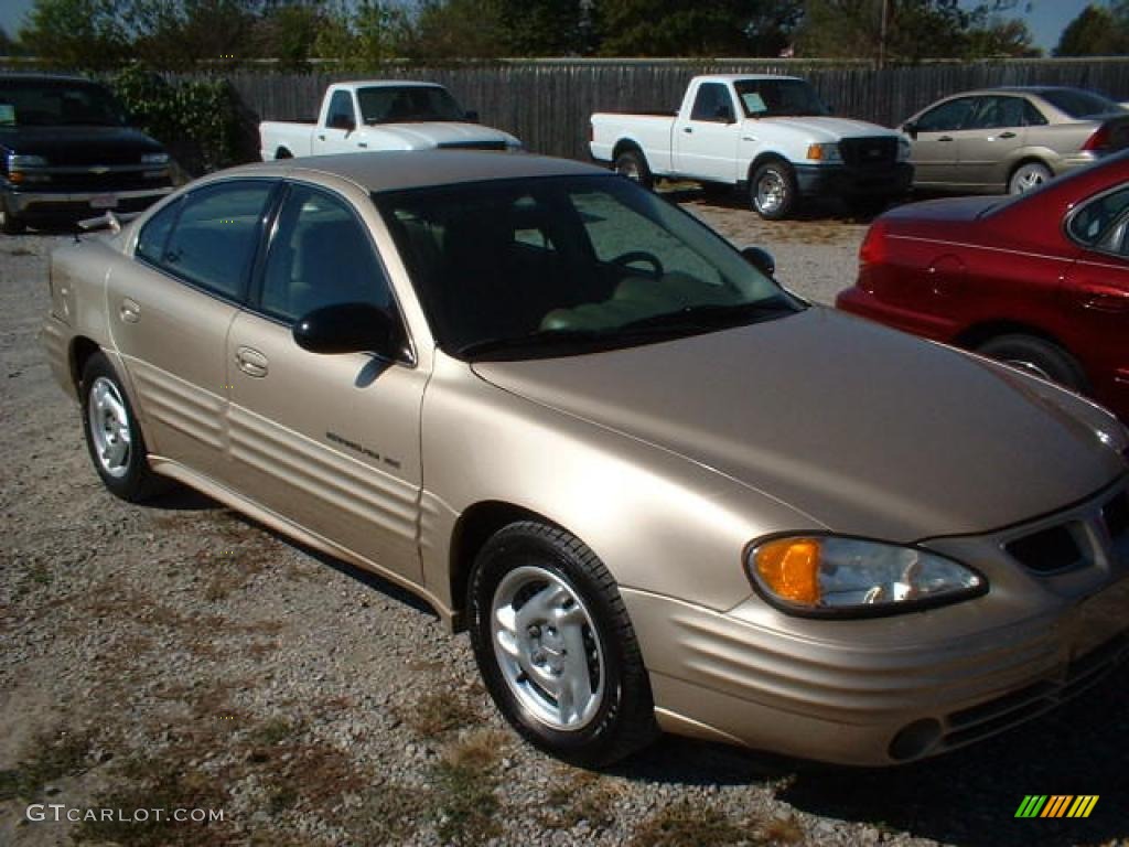 2002 Grand Am SE Sedan - Champagne Beige Metallic / Dark Taupe photo #1