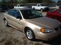 2002 Champagne Beige Metallic Pontiac Grand Am SE Sedan  photo #1