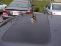 2006 Graphite Pearl Honda Accord EX-L V6 Sedan  photo #11