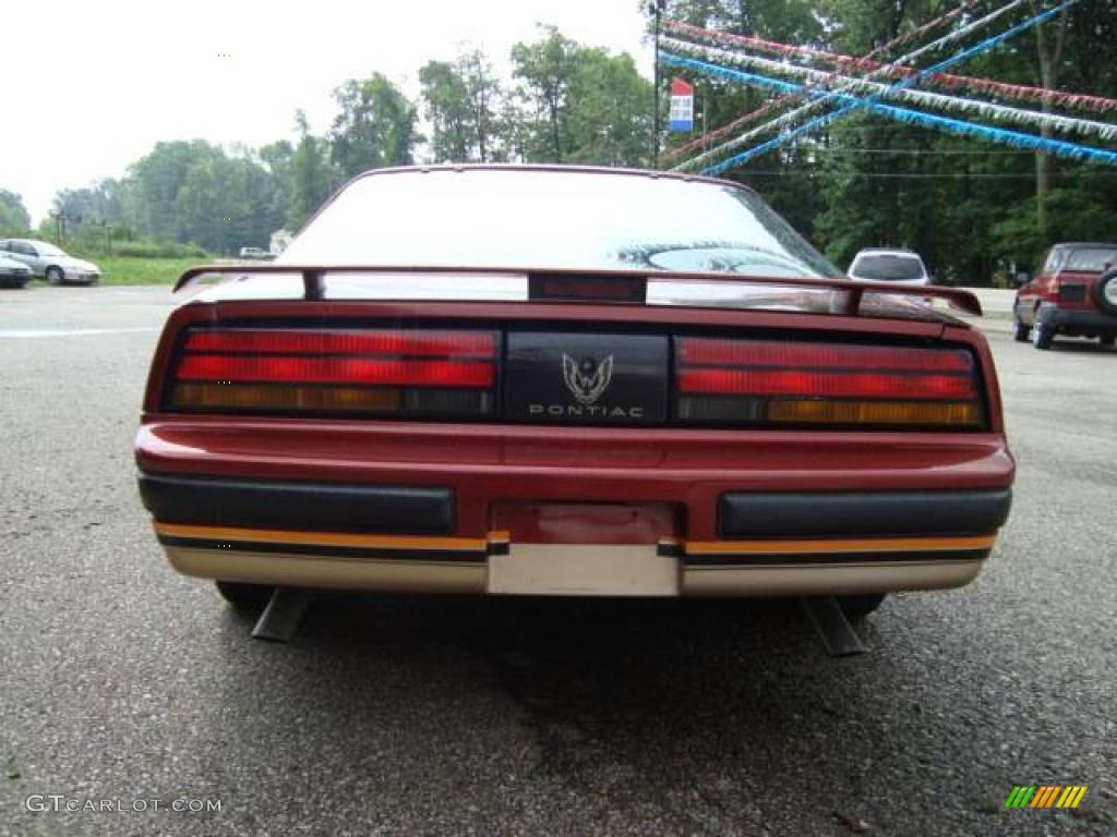 1987 Firebird Formula Coupe - Dark Red Metallic / Beige photo #9