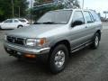 Sierra Silver Metallic - Pathfinder SE 4x4 Photo No. 5