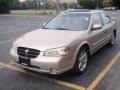 Sunlit Sand Metallic - Maxima GXE Photo No. 1