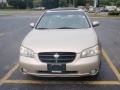 Sunlit Sand Metallic - Maxima GXE Photo No. 2