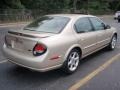 Sunlit Sand Metallic - Maxima GXE Photo No. 4