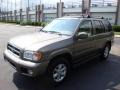 Bronzed Gray Metallic - Pathfinder LE 4x4 Photo No. 1