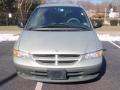 Bright Silver Metallic - Grand Caravan SE Photo No. 2