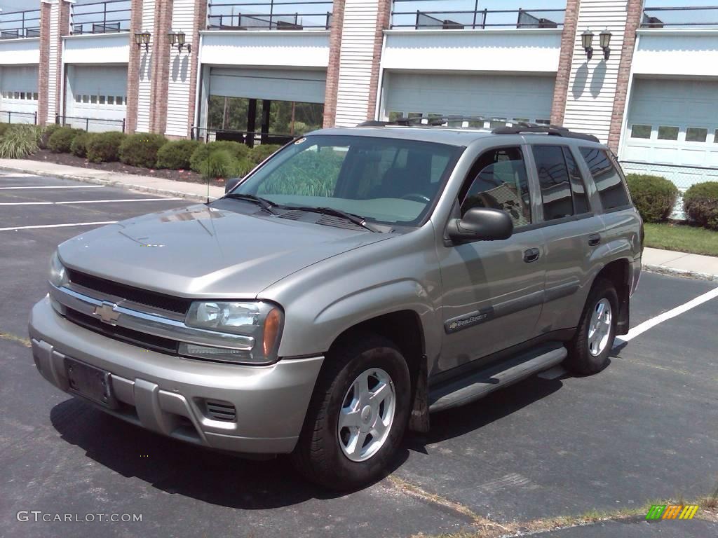 2003 TrailBlazer LS 4x4 - Light Pewter Metallic / Medium Pewter photo #1