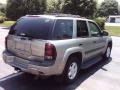 2003 Light Pewter Metallic Chevrolet TrailBlazer LS 4x4  photo #13