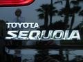 2006 Black Toyota Sequoia SR5  photo #9