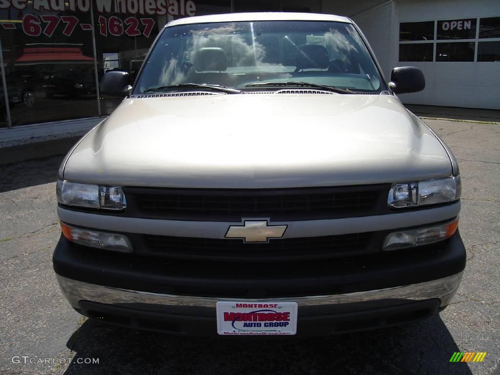 2002 Silverado 1500 LS Regular Cab - Light Pewter Metallic / Graphite Gray photo #8