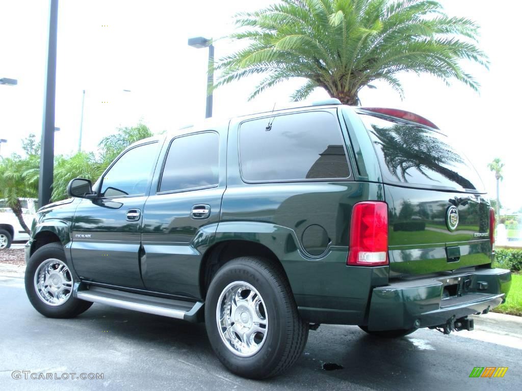 2002 Escalade AWD - Green Envy / Shale photo #8