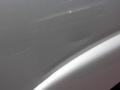 Silver Birch Metallic - Suburban 1500 LT Photo No. 10