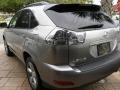 Thunder Cloud Metallic - RX 330 Photo No. 14