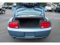 2007 Windveil Blue Metallic Ford Mustang GT Premium Coupe  photo #19