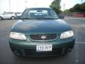 Jaded Pearl - Sentra GXE Photo No. 2