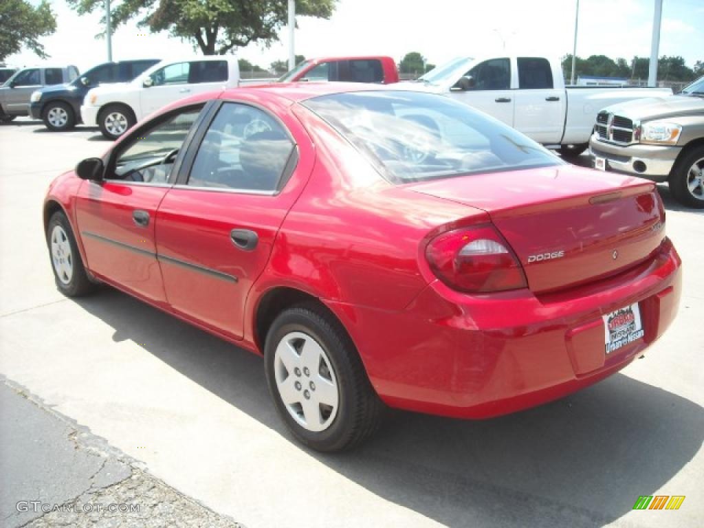 2004 Neon SE - Flame Red / Dark Slate Gray photo #6
