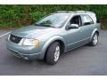 2005 Titanium Green Metallic Ford Freestyle Limited AWD  photo #1