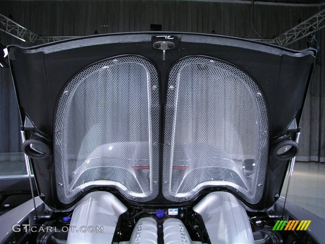 2005 Porsche Carrera GT Standard Carrera GT Model 5.7 Liter DOHC 40-Valve Variocam V10 Engine Photo #151442