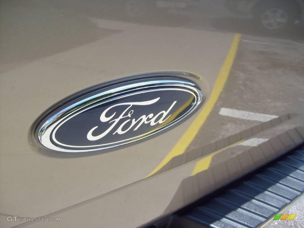 2004 F150 XLT SuperCrew - Arizona Beige Metallic / Tan photo #11