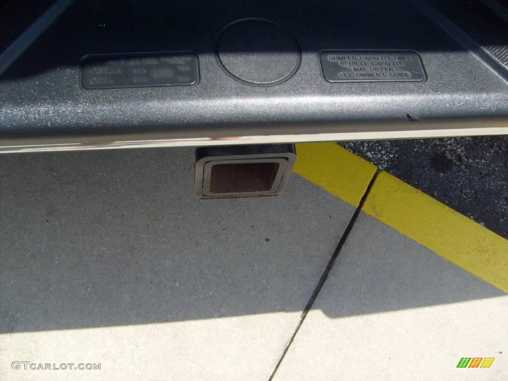 2004 F150 XLT SuperCrew - Arizona Beige Metallic / Tan photo #28