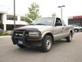 Light Pewter Metallic - S10 Extended Cab 4x4 Photo No. 2