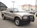 Light Pewter Metallic - S10 Extended Cab 4x4 Photo No. 3