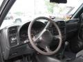 Light Pewter Metallic - S10 Extended Cab 4x4 Photo No. 9