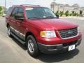 2004 Redfire Metallic Ford Expedition XLS  photo #11