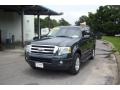 2009 Black Pearl Slate Metallic Ford Expedition XLT  photo #3