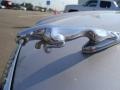 Platinum Silver - XJ Vanden Plas Photo No. 10