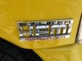 2004 Solar Yellow Dodge Ram 1500 SLT Rumble Bee Regular Cab  photo #13