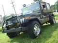 Emerald Green Pearl - Wrangler SE 4x4 Photo No. 1