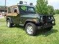 Emerald Green Pearl - Wrangler SE 4x4 Photo No. 3