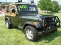 Emerald Green Pearl - Wrangler SE 4x4 Photo No. 5